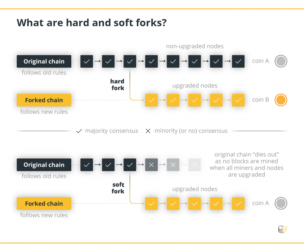 Flowchart infographic hardfork